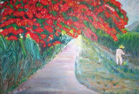LES CHAMPS DE CANNE
